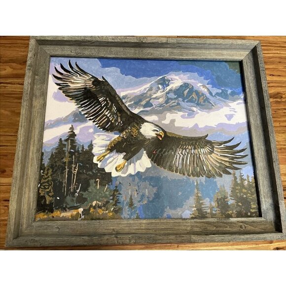 Framed Complete Paint by Number Eagle Mountains Outdoor Artwork 16x20 - Picture 1 of 4